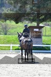 ref. photo 3555147