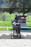ref. photo 3555148
