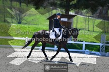 ref. photo 3555149