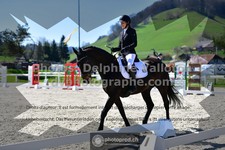 ref. photo 3555152