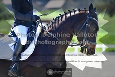 ref. photo 3555154