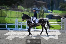ref. photo 3555155
