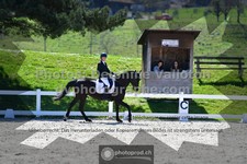 ref. photo 3555157