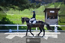 ref. photo 3555160