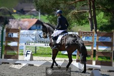 ref. photo 3555166