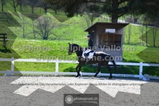 ref. photo 3555168