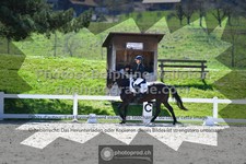 ref. photo 3555169