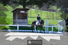 ref. photo 3555178