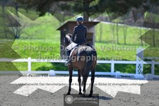 ref. photo 3555184
