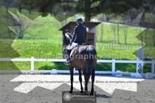 ref. photo 3555185