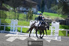 ref. photo 3555186
