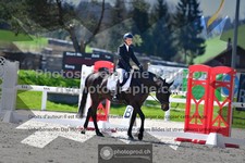 ref. photo 3555187