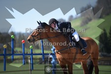 ref. photo 3555190