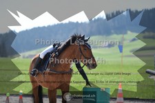 ref. photo 3555194