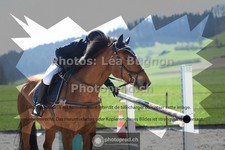 ref. photo 3555196