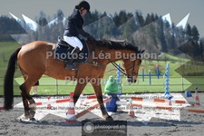 ref. photo 3555198