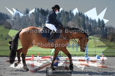 ref. photo 3555199