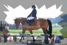 ref. photo 3555201