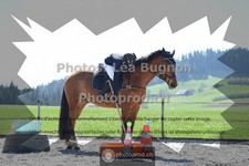 ref. photo 3555202