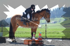 ref. photo 3555203
