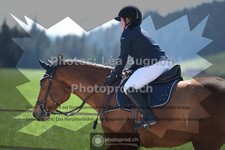 ref. photo 3555210