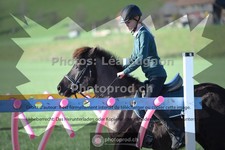 ref. photo 3555213