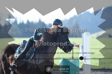 ref. photo 3555215