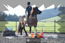 ref. photo 3555218
