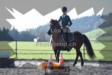ref. photo 3555219