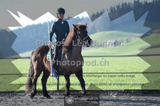 ref. photo 3555223