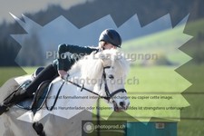 ref. photo 3555230