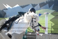 ref. photo 3555232