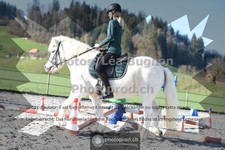 ref. photo 3555234