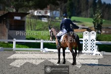 ref. photo 3555248