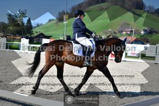 ref. photo 3555252