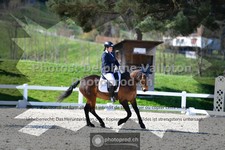 ref. photo 3555264