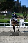 ref. photo 3555268
