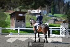 ref. photo 3555283