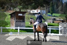 ref. photo 3555284
