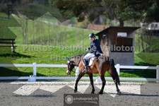 ref. photo 3555285