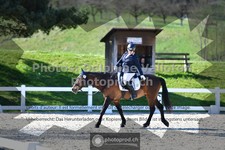 ref. photo 3555286