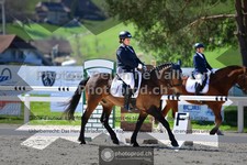 ref. photo 3555290