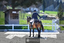 ref. photo 3555297