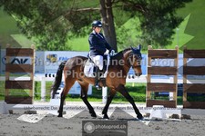 ref. photo 3555300
