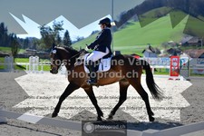 ref. photo 3555302