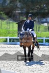 ref. photo 3555315