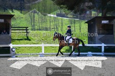 ref. photo 3555316