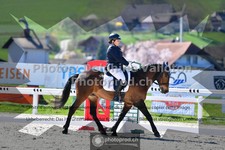 ref. photo 3555320