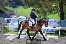 ref. photo 3555321