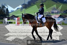 ref. photo 3555322